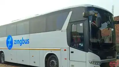 Zingbus Plus Bus-Side Image