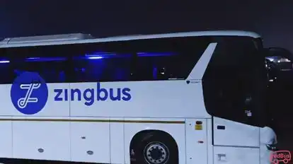 Zingbus Plus Bus-Side Image