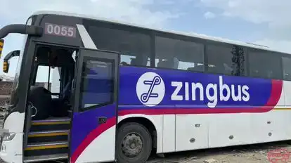 Zingbus Bus-Side Image