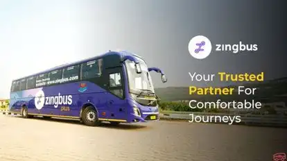 Zingbus Plus Bus-Side Image