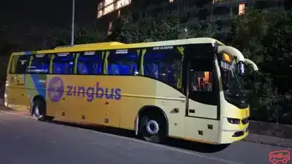Zingbus Plus Bus-Side Image