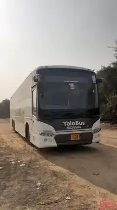 Yolo Bus Bus-Front Image