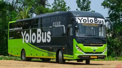 Yolo Bus Bus-Side Image