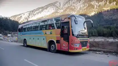 Yolo Bus Bus-Side Image