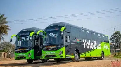 Yolo Bus Bus-Front Image