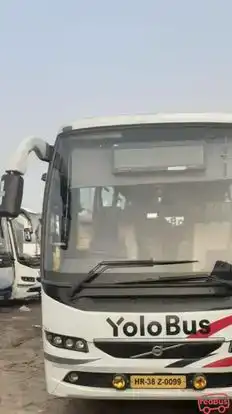 Yolo Bus Bus-Front Image