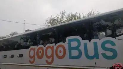 gogoBus Bus-Side Image