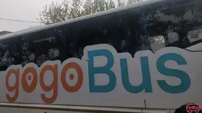 gogoBus Bus-Side Image