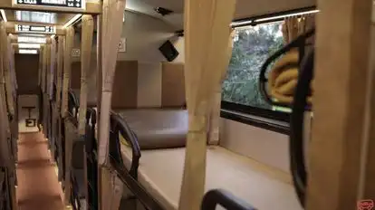 Madhavi Travels Bus-Seats Image