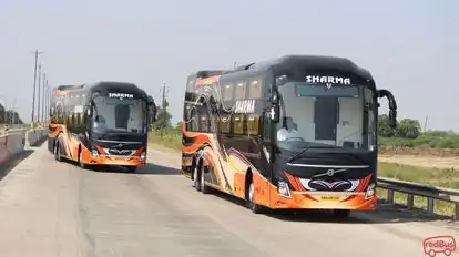 Sharma Travels Nanded Bus-Front Image