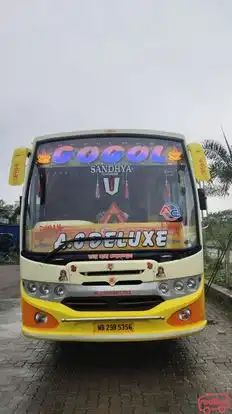 Gogol City Service Bus-Front Image