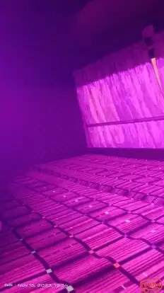 Gulzar Tours and Travels (Delhi) Bus-Seats Image