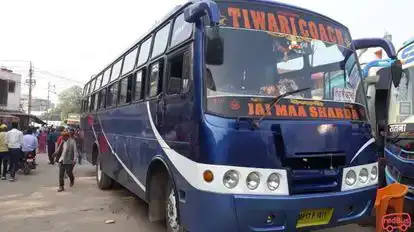 Tiwari Coach Rewa Bus-Front Image