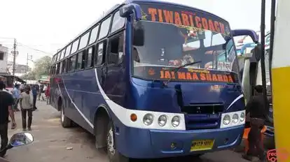 Tiwari Coach Rewa Bus-Front Image