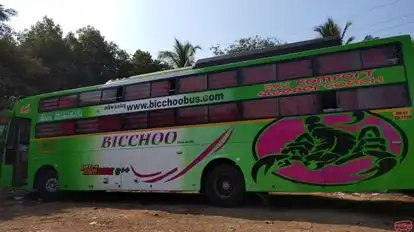 Bicchoo Travels Pvt Ltd Bus-Side Image