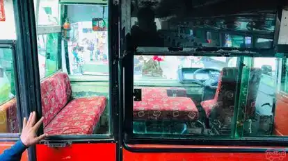 Shivhare Bus Service Bus-Seats Image