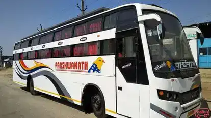 Parshwanath Travels Agency Bus-Side Image