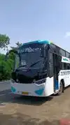 Shree Travels Bus-Front Image