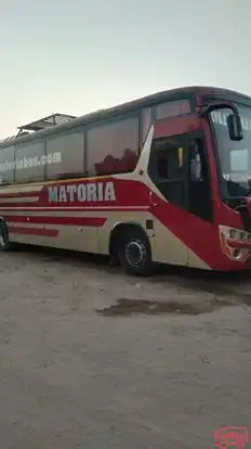 Matoria Bus Service Bus-Side Image