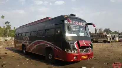 MP Transport Bus-Side Image