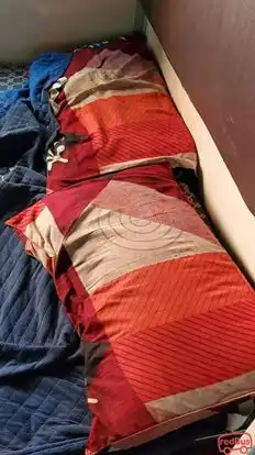 Shree Shyam Travels Bus-Seats Image
