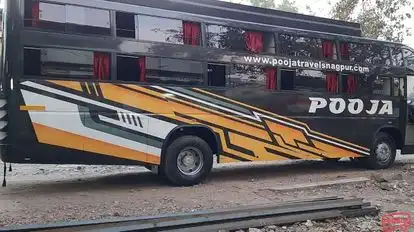 Pooja Travels Nagpur Bus-Side Image