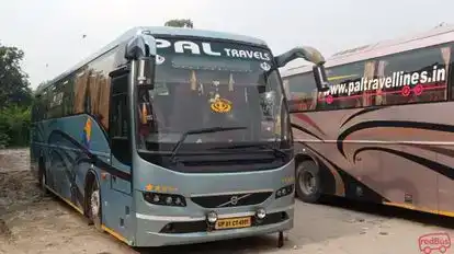 pal travel lines bus