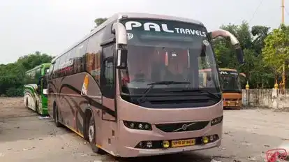 Pal Travel Lines Bus-Side Image