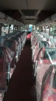 Balia Panda Bus-Seats Image