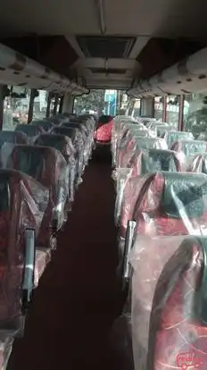 Balia Panda Bus-Seats Image