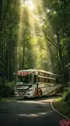 Ambika Travels  Bus-Front Image