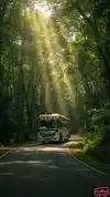 Ambika Travels  Bus-Front Image