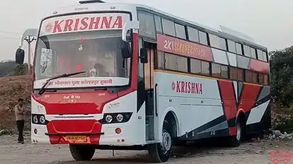 SHREE KRISHNA TRAVELS Bus-Front Image