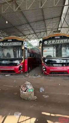SHREE KRISHNA TRAVELS Bus-Front Image