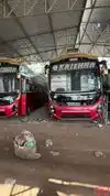 SHREE KRISHNA TRAVELS Bus-Front Image