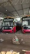 SHREE KRISHNA TRAVELS Bus-Front Image