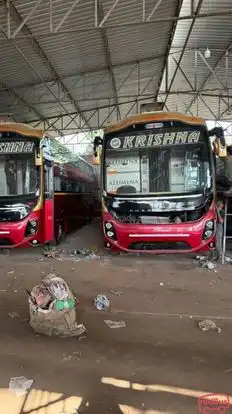 SHREE KRISHNA TRAVELS Bus-Front Image