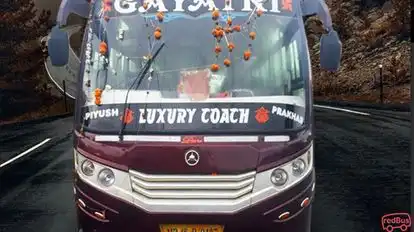 Gayatri Bus Service  Bus-Front Image