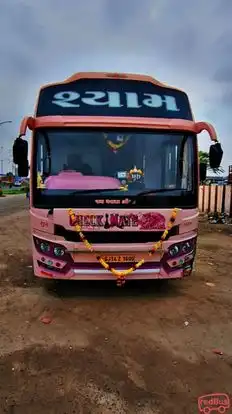 Shyam Travels Bus-Side Image