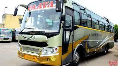 PAAVAI TRAVELS Bus-Front Image