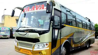 PAAVAI TRAVELS Bus-Side Image