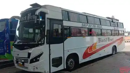 Black Pearl Tranz (GKT) Bus-Side Image