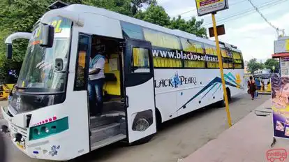 Black Pearl Tranz (GKT) Bus-Side Image