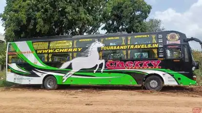 Cherry tours&travels Bus-Side Image