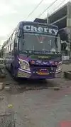Cherry tours&travels Bus-Front Image