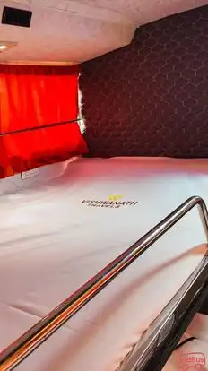 Vishwanath Travels Bus-Seats Image