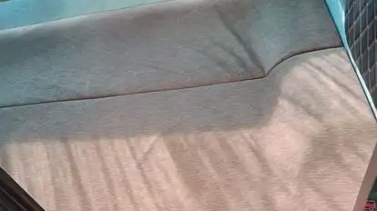 Goga Sikotar Travels Bus-Seats Image