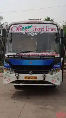 olive travel lines Bus-Front Image