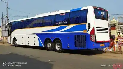 BLUEBERRY Bus-Side Image