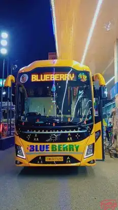 BLUEBERRY Bus-Front Image